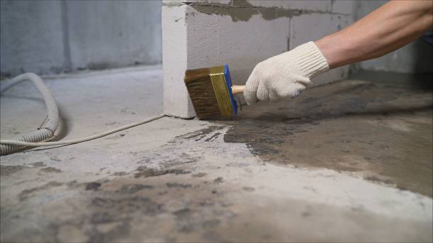 Trusted Waterproofing service in Chilo, OH - SGP Waterproofing